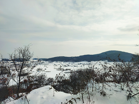 Winter snowy forest with sky