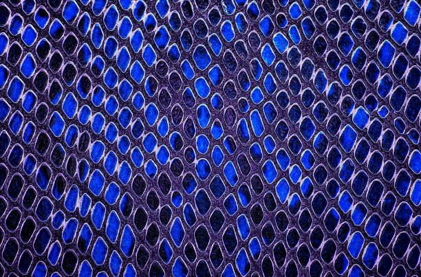 istock Blue snake skin. Animal leather texture use for background. 1367695925