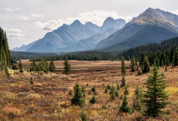 istock Spray Valley Provincial Park - Kananaskis Country, Alberta 1367697211