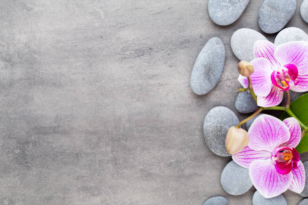 istock Beauty orchid on a gray background. Spa scene. 1367698482