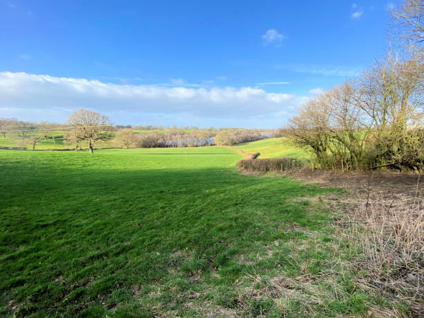 istock The Countryside around Hanmer 1367698646