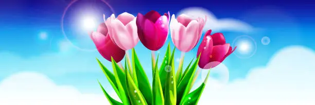 Vector illustration of Field of colorful tulips against a bright spring sky with bokeh effect. Graphic vector illustration in EPS 10 format.