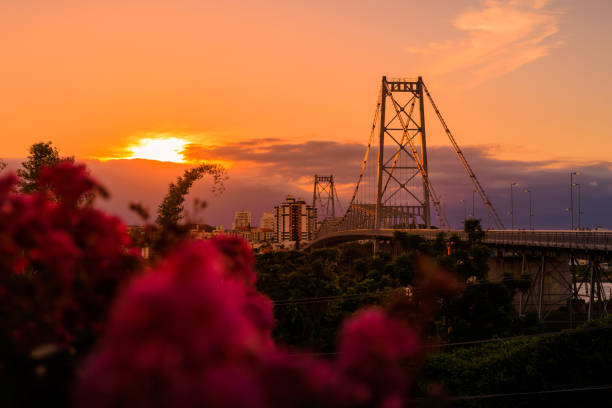 Hercilio luz cable stayed bridge with sunset tones in Florianopolis, Brazil Hercilio luz cable stayed bridge with sunset tones in Florianopolis, Brazil florianópolis stock pictures, royalty-free photos & images