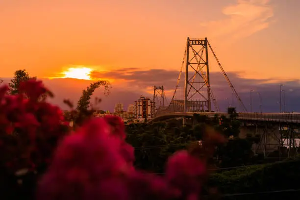 Photo of Hercilio luz cable stayed bridge with sunset tones in Florianopolis, Brazil