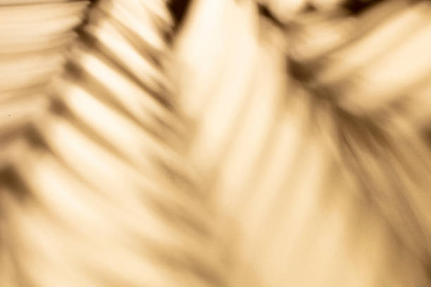 istock Palm leaves and shadows on a color wall background. 1367703604