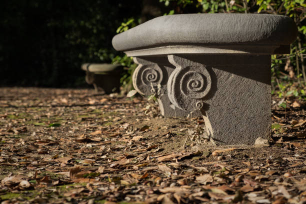 Stone bench and autumn leaves stock photo