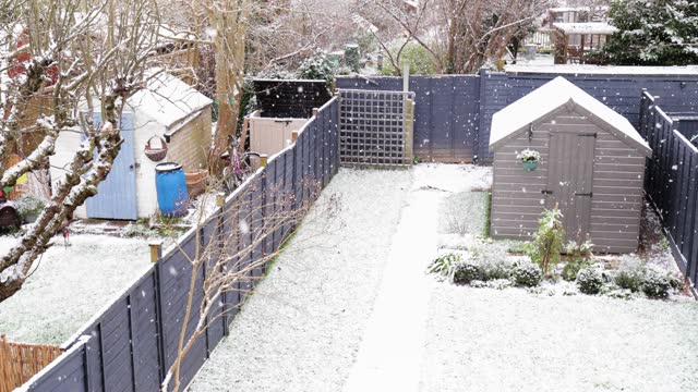 Snowing in the back garden in winter, London suburb, UK