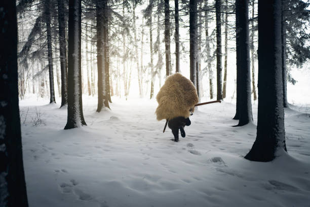 istock Rear view of medieval warrior in the forest during sunset 1367706106