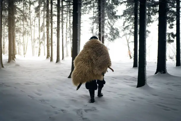 Rear view of mid-adult Caucasian man, wearing the warrior costume, shield and spear, at nature during winter