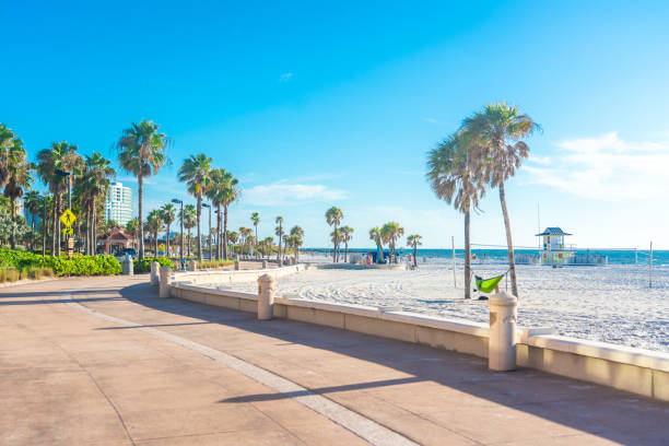 istock Clearwater beach with beautiful white sand in Florida USA 1367708738