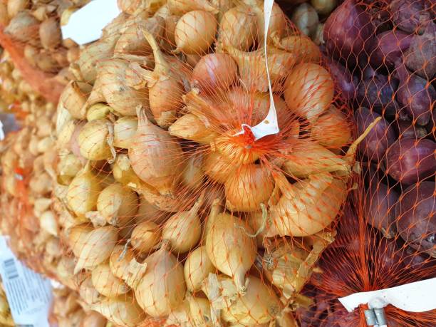 istock bulbs for seedlings in the seed store. 1367709469