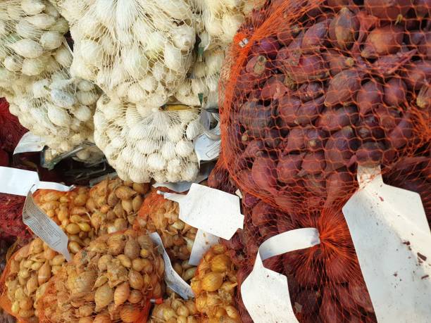 istock bulbs for seedlings in the seed store. 1367709497