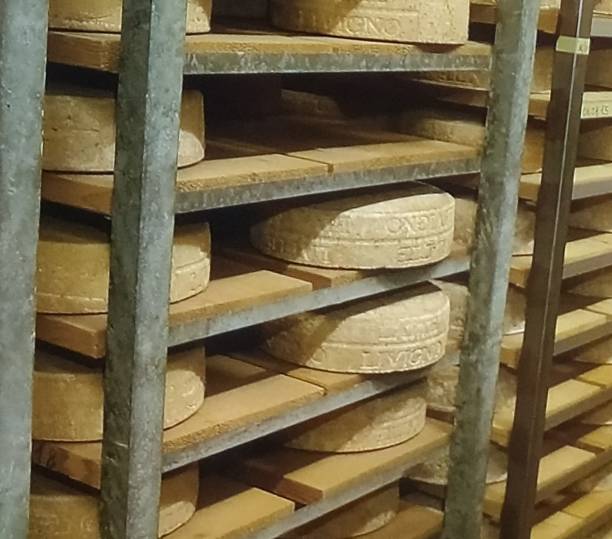 istock Forms of cheese to mature 1367710769
