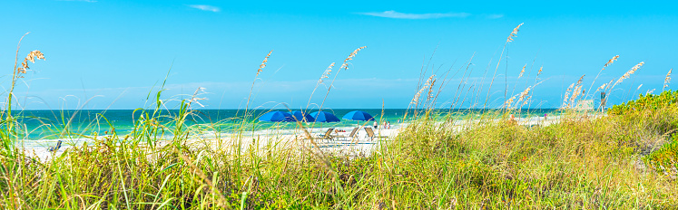 Indian rocks beach with green grass in Florida USA