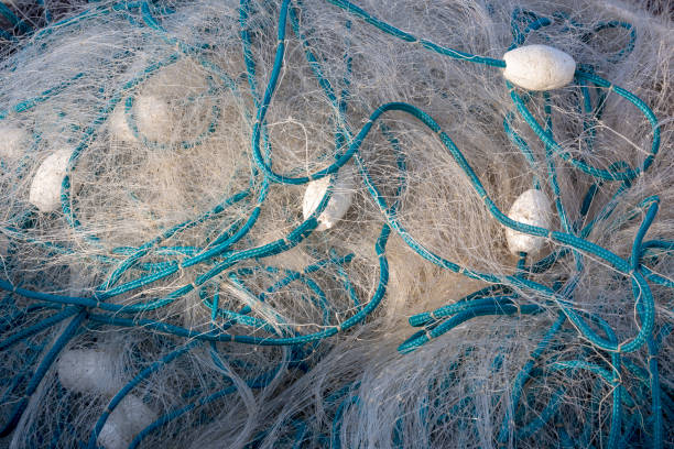 gros plan du filet, bien rangé sur le bateau de pêche - fishing net netting nobody color image photos et images de collection