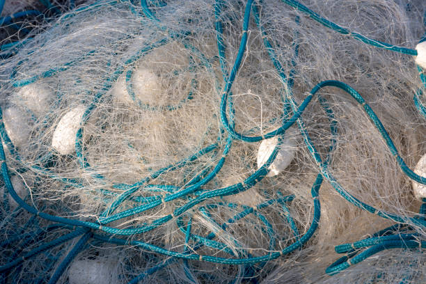 gros plan du filet, bien rangé sur le bateau de pêche - fishing net netting nobody color image photos et images de collection