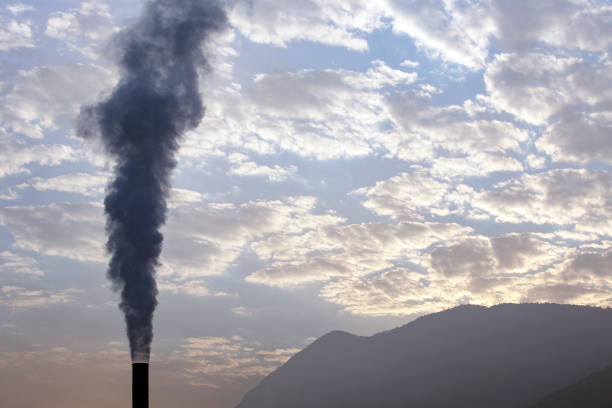 istock Water vapor expelled from chimney 1367716514