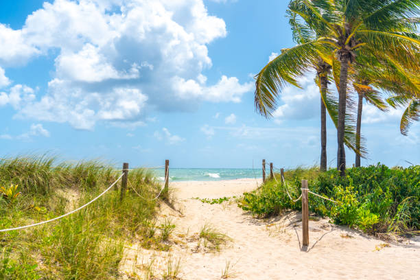 istock Sand Path going to the ocean in Miami Beach, Florida 1367717445