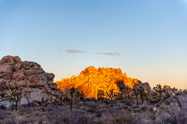 istock Sunset in Joshua Tree National park 1367719697
