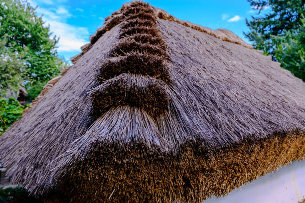 istock Closeup view of a thatched roof 1367719763