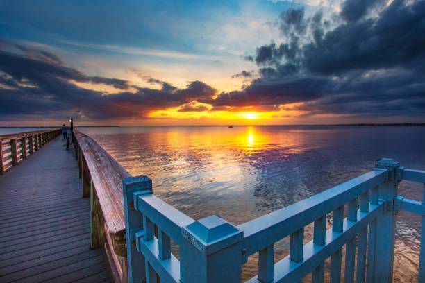 istock Bay Live Oak Park Pier Sunset 1367720772