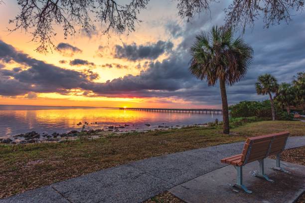 istock Bay Live Oak Park Walkway Sunset 1367720773