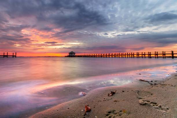 istock Chester Roberts Park Colorful Sunrise 1367720786