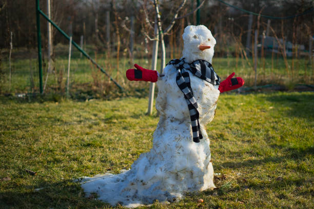 muñeco de nieve - melting snowman winter spring fotografías e imágenes de stock
