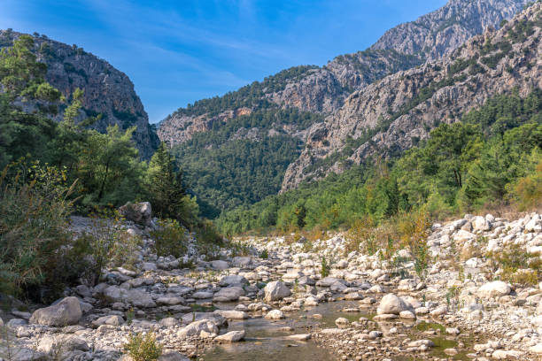 landscape with mountain riverbed in dry season rocky landscape with mountain riverbed in dry season dry riverbed stock pictures, royalty-free photos & images