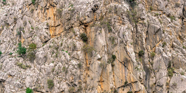 istock landscape, texture - sheer rocky wall with cracks and vegetation 1367730838