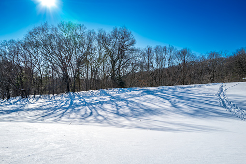 Trees in winter with a lot of snow, bright sun and blue sky in the high Rhoen, Hesse, Germany