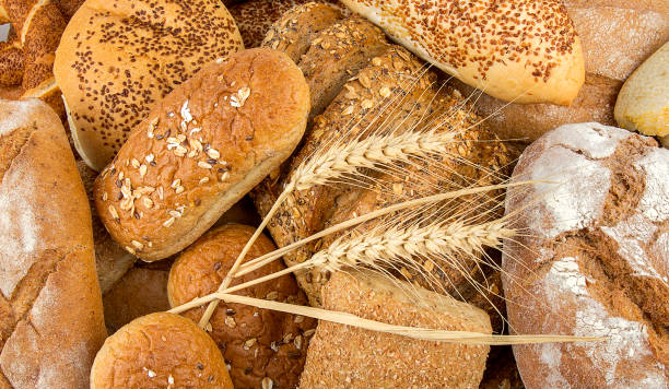 istock Different kinds of bread and bread rolls. Kitchen or bakery poster design 1367736670
