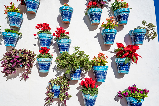 Mijas village flower pot detail in Costa del Sol beautiful Mediterranean white village whitewashed with flower pots in Malaga of Andalusia of Spain