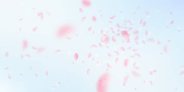 桜の花びらが落ちる。ロマンチックなピンクの花の爆発。青空の広い背景に花びらを飛ばす。愛、ロマンスの概念。優雅な結婚式の招待状 - 桜 花びら点のイラスト素材／クリップアート素材／マンガ素材／アイコン素材