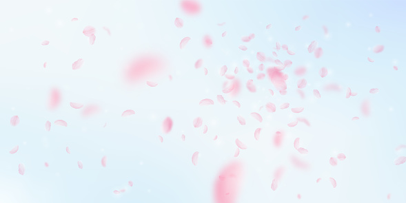 Sakura petals falling down. Romantic pink flowers explosion. Flying petals on blue sky wide background. Love, romance concept. Graceful wedding invitation.