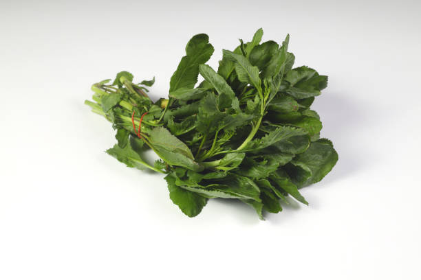 istock Living cress isolated on white background, vegetable. 1367741284
