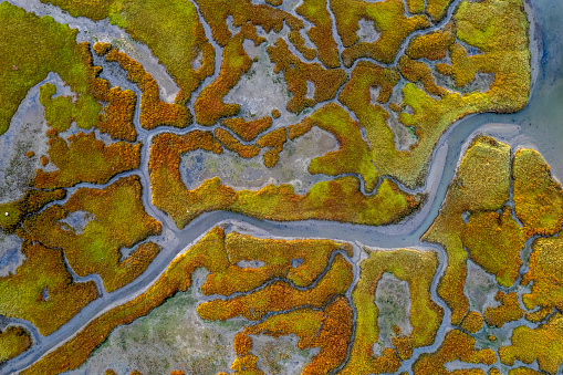 Aerial view looking straight down at the waterways and marshland in Marin County California