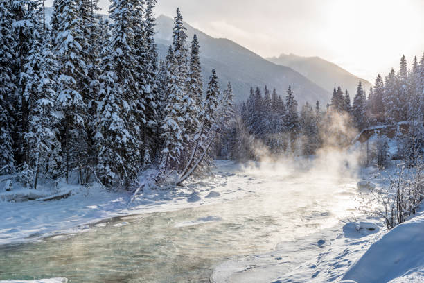 istock Steam rising from Toby Creek with fresh snow on trees 1367742363