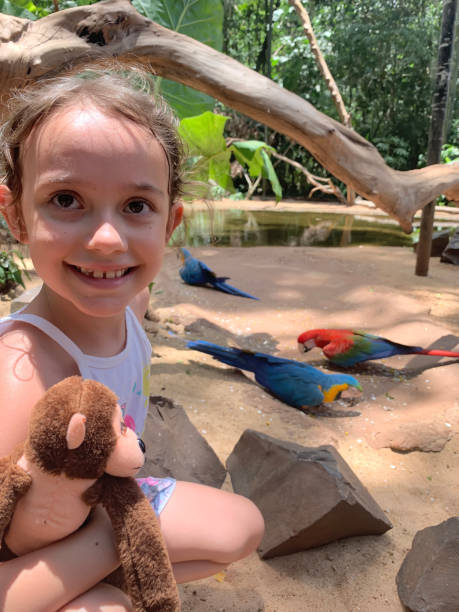 Happy little girl watching the macaws feeding. stock photo