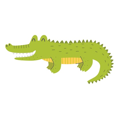 Cute alligator on a white background. Vector childish illustration.