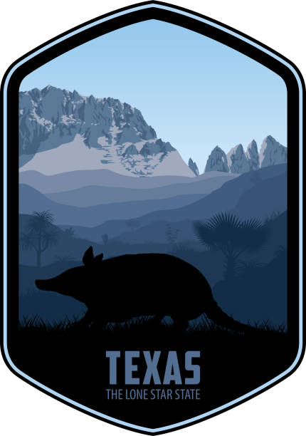 Texas vector label with Nine-banded armadillo and Big Bend National Park Texas vector label with Nine-banded armadillo and Big Bend National Park texas mountains stock illustrations