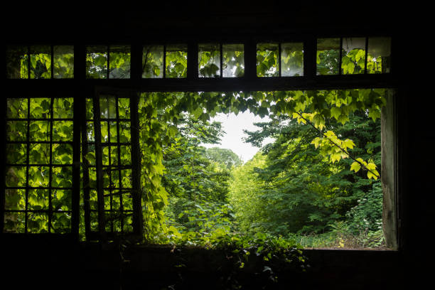 istock A scary place in an abandoned asylum 1367749958