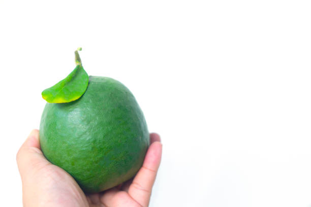 istock Fresh lime with green leaf in hand isolated on white 1367750868