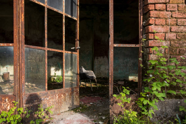 istock A scary place in an abandoned asylum 1367752381