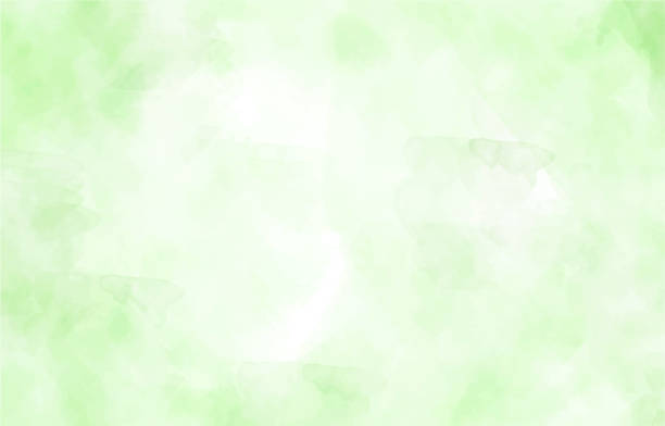 bildbanksillustrationer, clip art samt tecknat material och ikoner med green watercolor background illustration - grön färg