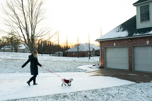 Blond female walks her little white dog outdoors in winter, Evansville, Indiana, USA