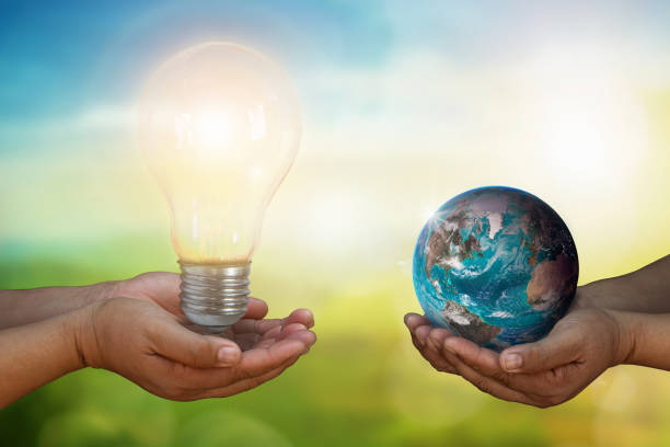 istock Developer hand holding light bulb and hand holding blue earth globe over blurred green nature background:f energy and earth day concept, World Environment Day. 1367760284