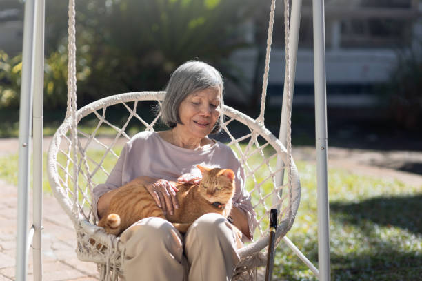 Elderly woman holding ginger cat on wheelchair in backyard. Elderly woman holding ginger cat on wheelchair in backyard. animal therapy stock pictures, royalty-free photos & images