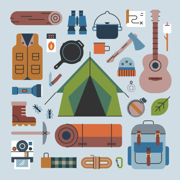 ilustrações de stock, clip art, desenhos animados e ícones de camping gear—brightline series - color image blue background season animal