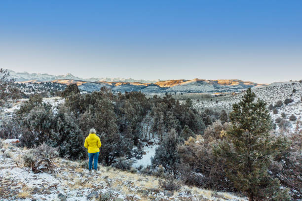 istock Ridgeway Colorado Views Western Colorado Outdoors Horizon Scenery Variety Dynamic Locations in Winter Photo Series 1367768607